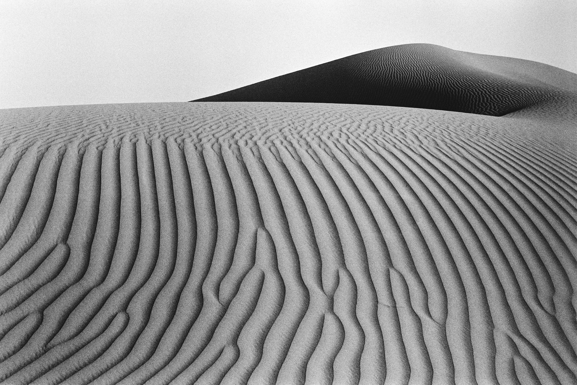 12_Rub Al Khali (Empty Quarter) desert, U.A.E., 2016