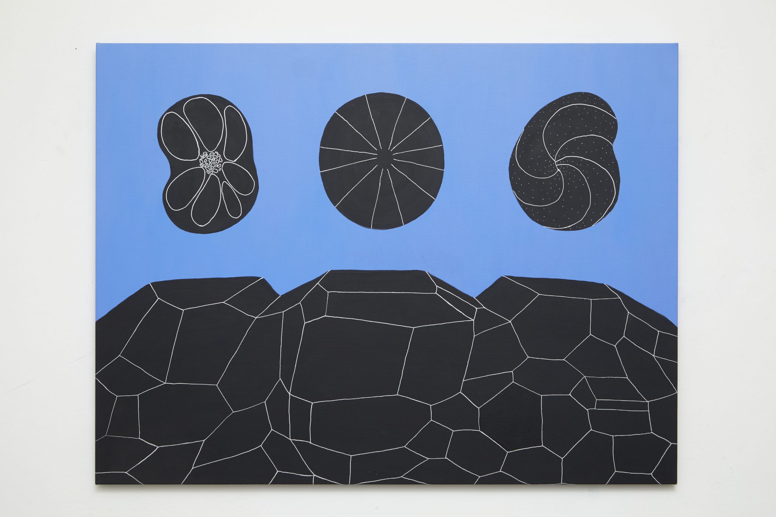 2019_Andreco_TreSoli_ph SimonDExea