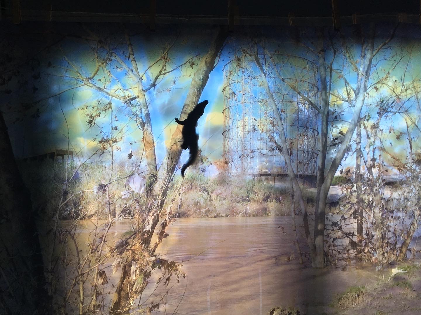 29B99D2F-B728-4871-9186-8FF8B17DA5A6