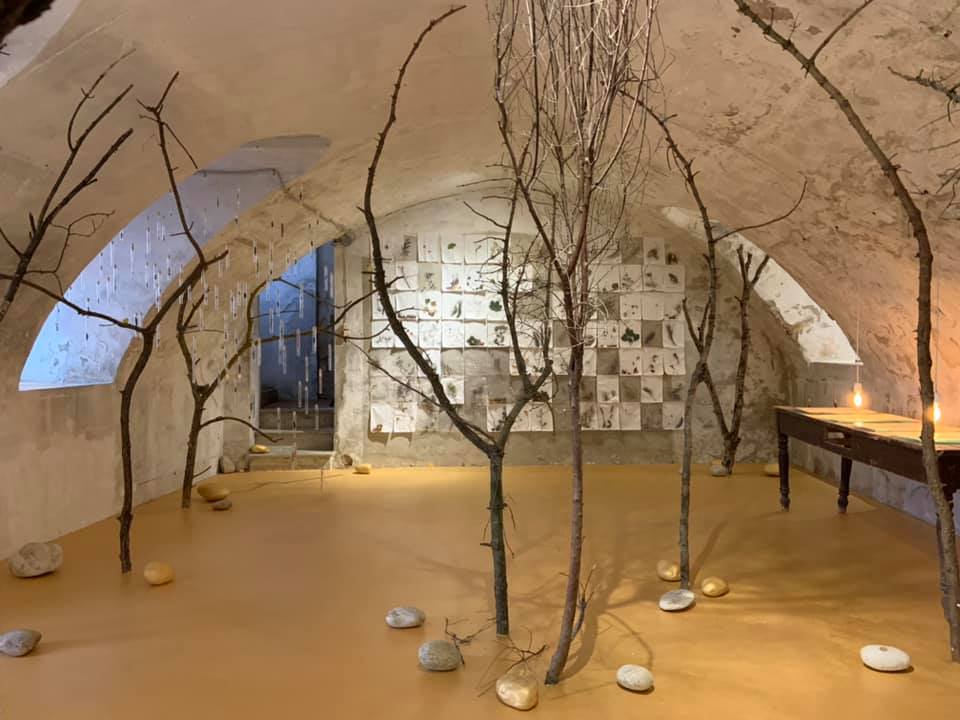 9. IL BOSCO DELICATO. Sabrina Oppo, Monticello d'Alba, 2019. Ph. Sabrina Oppo