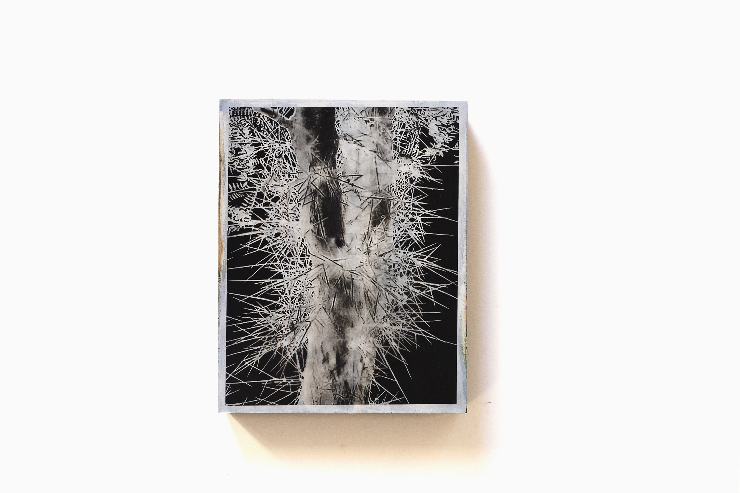 9.Paola_Boscaini_Brontotheriidae