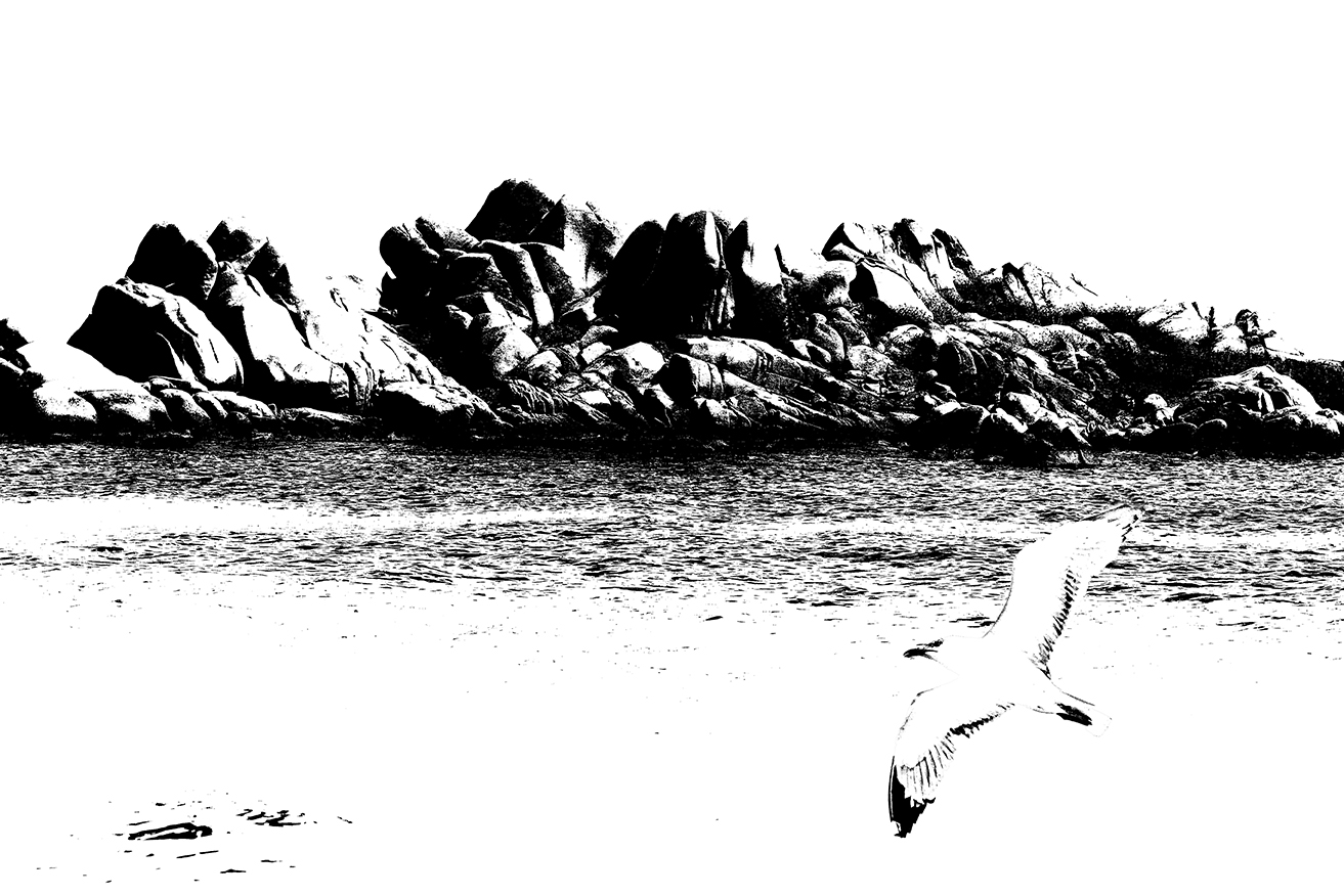 Alessandra Antonini expo Lavezzi rid