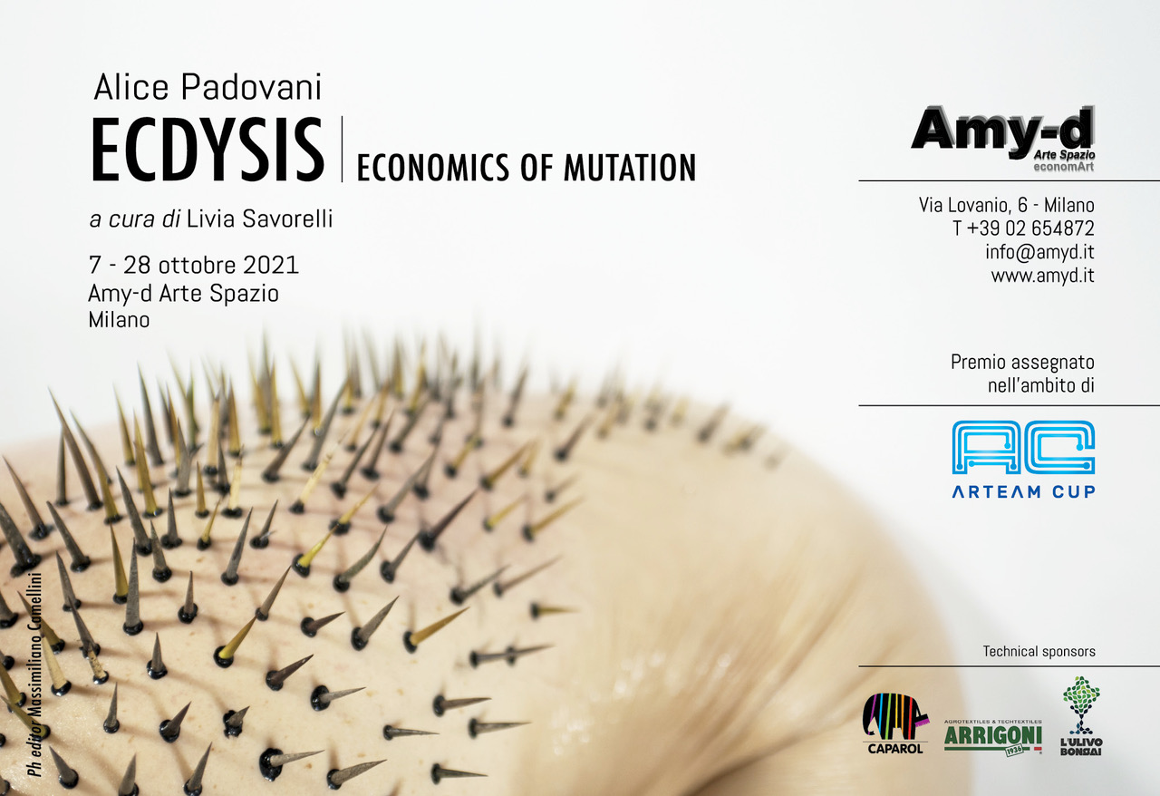 Amy-d Arte Spazio - Invito Ecdysis. Economics of mutation