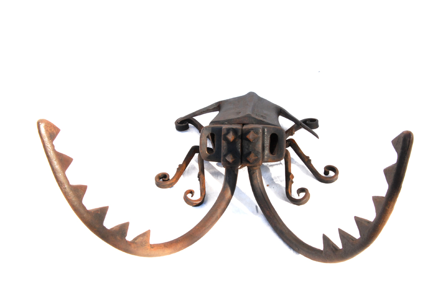 CERVO_VOLANTE_b copia