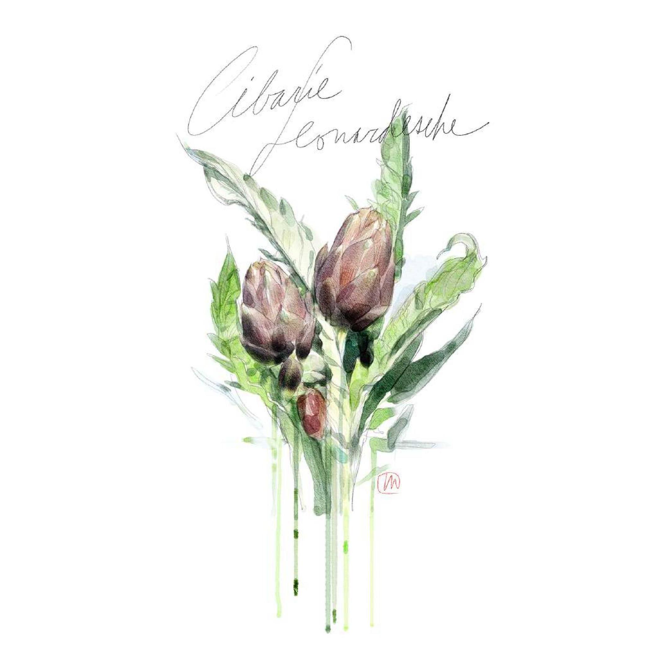 CIBARIE LEONARDESCHE