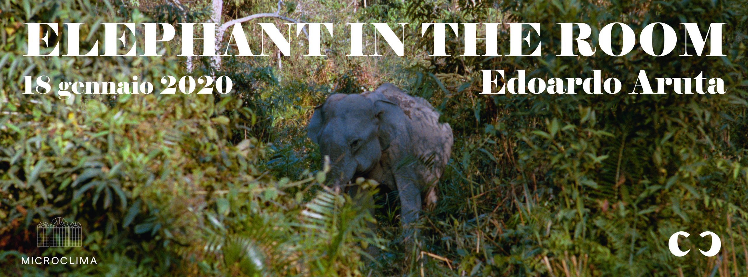 Elephant in the room locandina