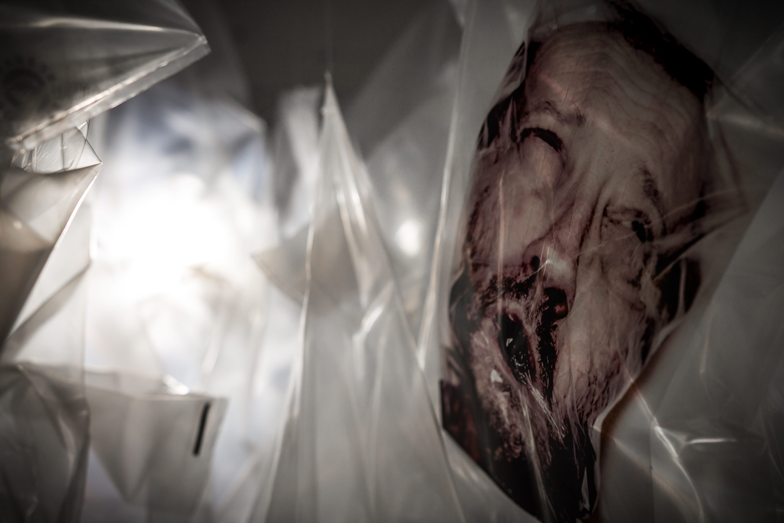 Fabbro:Pasqual_È per sempre_installazione