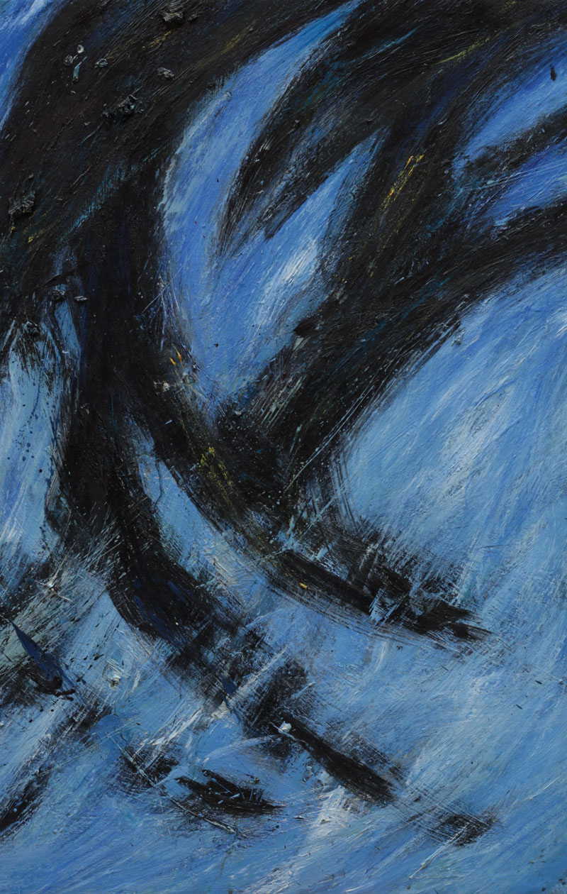 GLI ATTIMI FUGGENTI - Domenico D’Aria