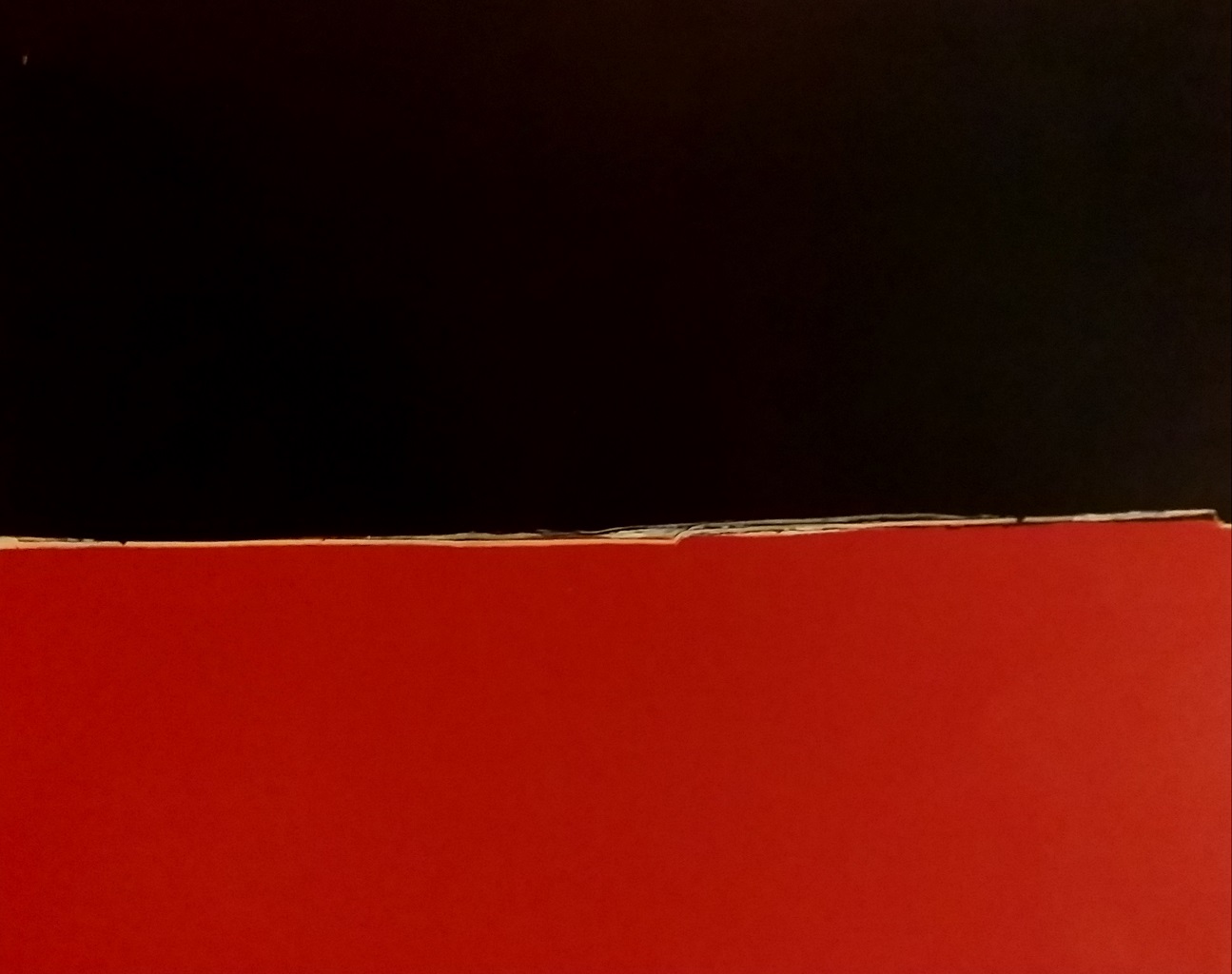 Giancarlo cerri Sequenza orizzontale 1995 olio su tela