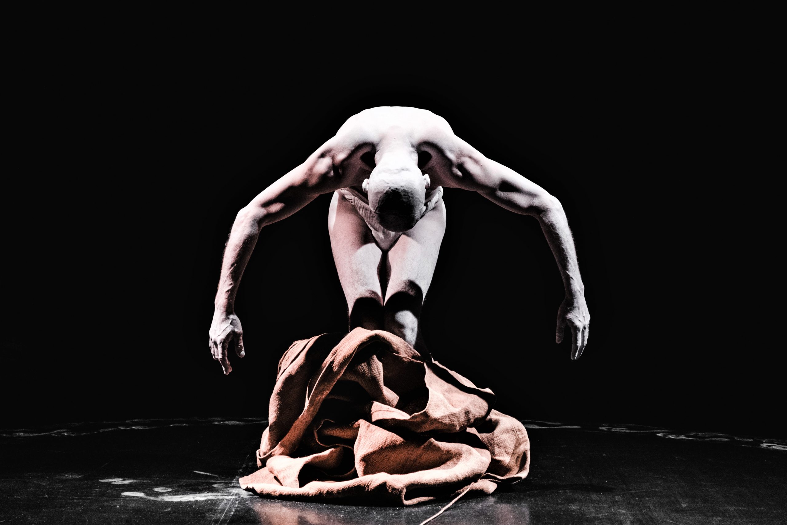 Imre Thormann David (13)