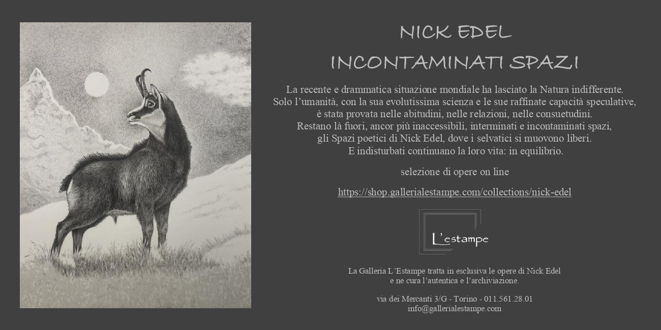 Incontaminati Spazi, Nick Edel 2020