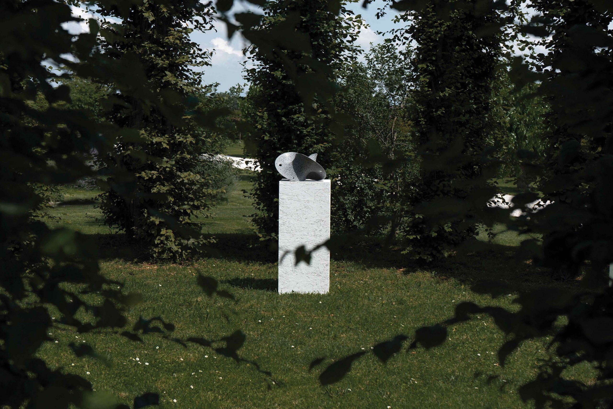 Kim Seung Hwan nel roccolo