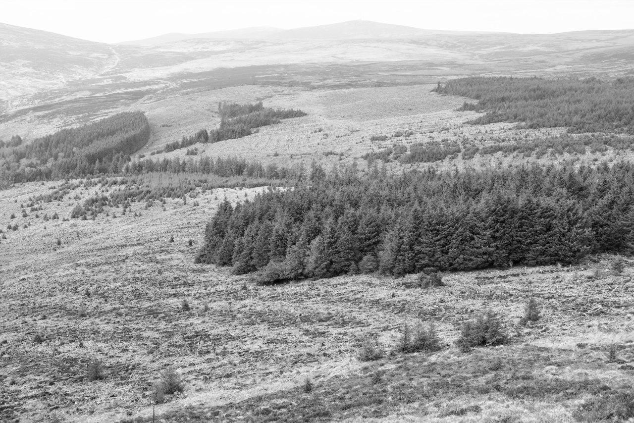 Louis Haugh, FieldWork 03, 2016. Ph credit _ courtesy Louis Haugh