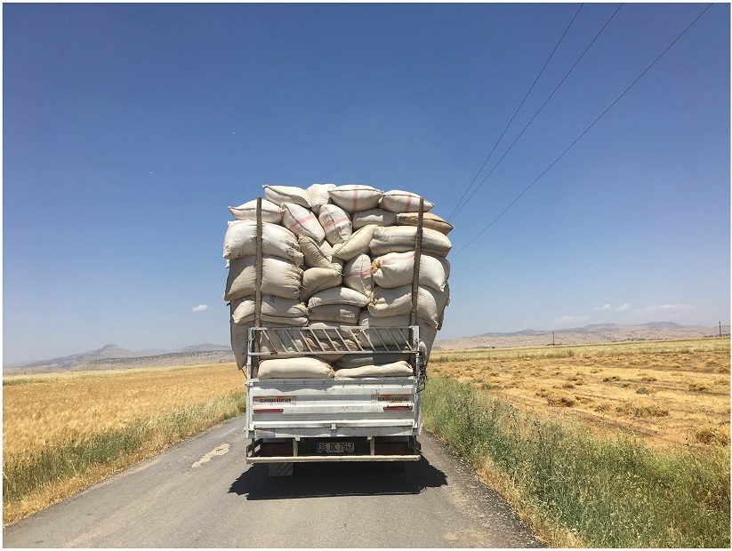 Luca Vitone, Romanistan (Appunti di viaggio) #5, 2019-2021, fotografia a colori, © ROMANISTAN Luca Vitone Courtesy Photology