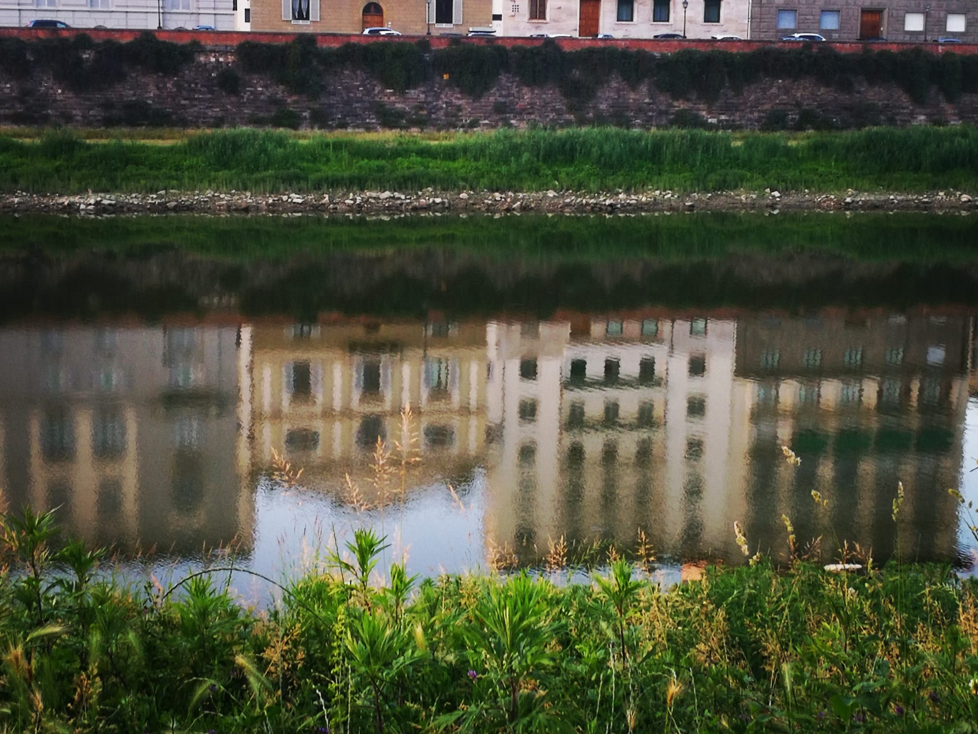 PHOTO-2021-07-09-16-51-00_2