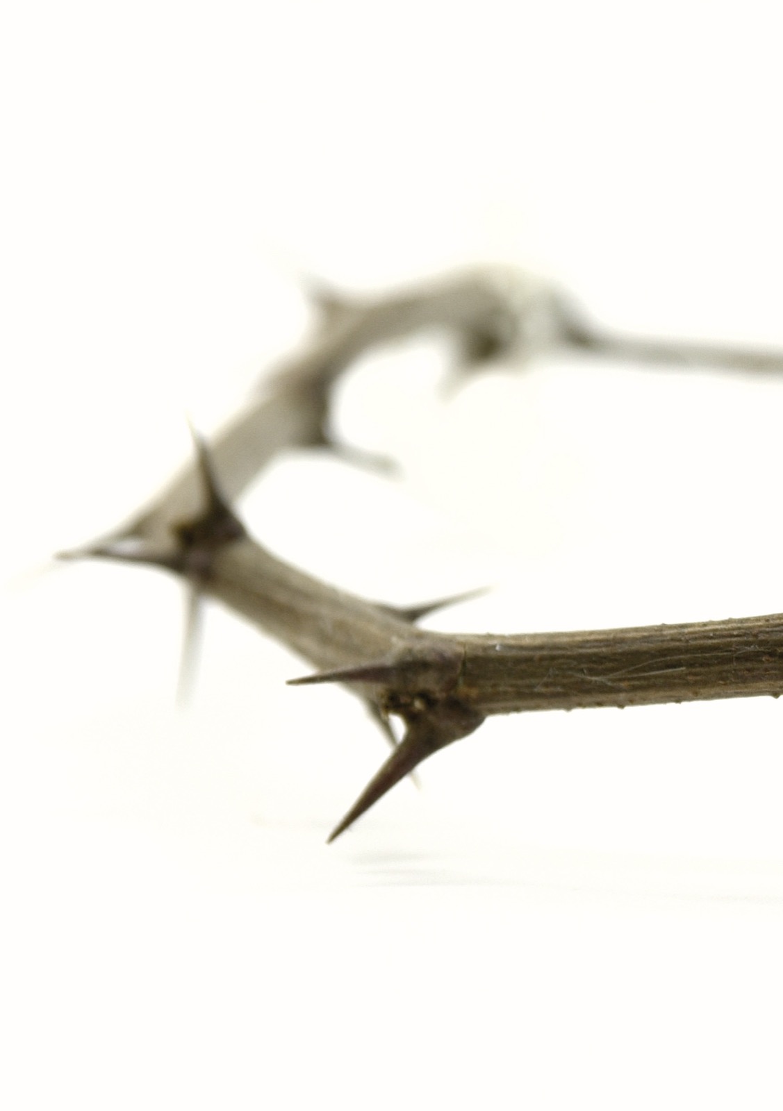 PHOTO-2021-08-28-11-39-55