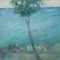 Paesaggio, s.d.- olio su tela - cm 60x50 (coll. privata Trieste)