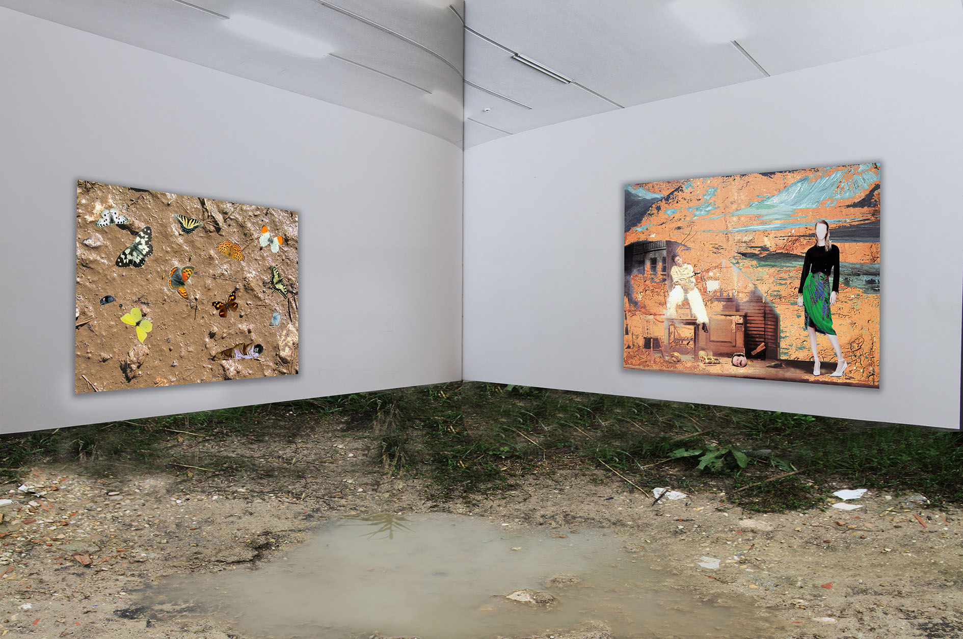 Panorama con pozzanghera 120