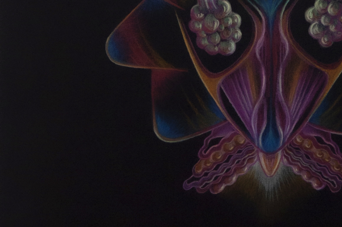 VENERI_solo fondo_1400x930