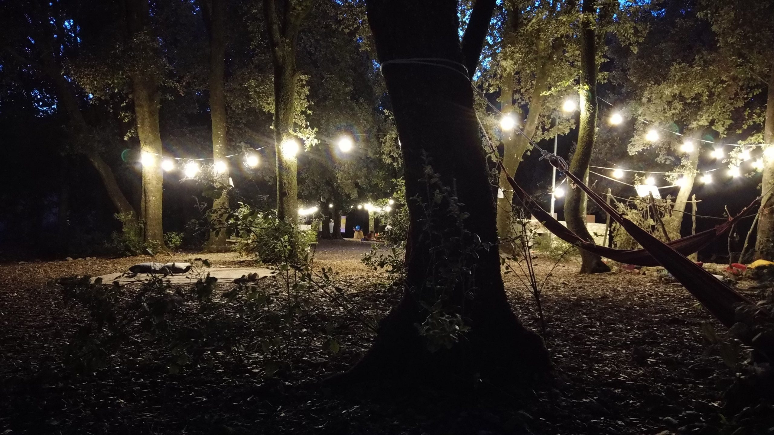 Vacunalia credits Andrea Santocco_