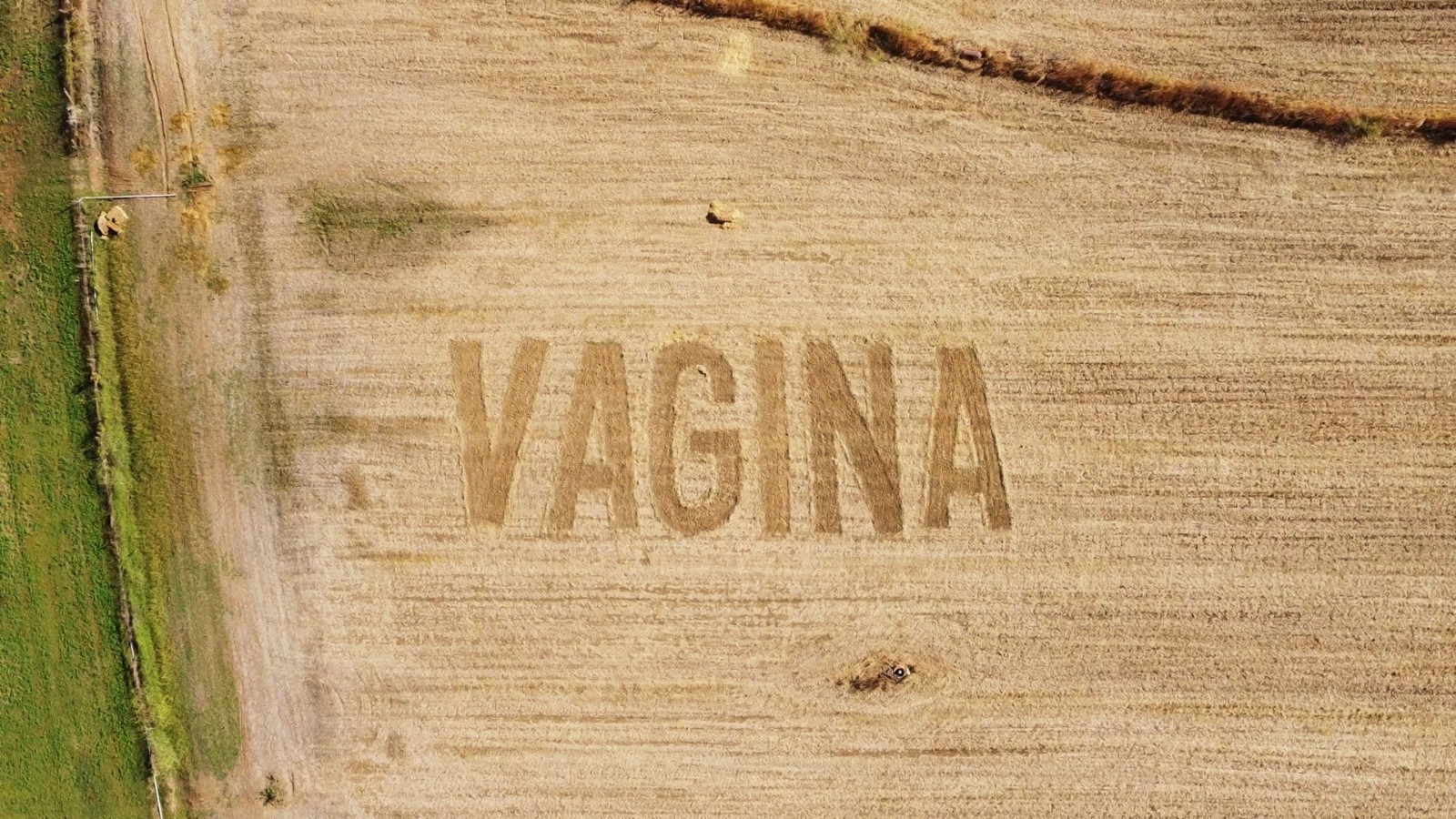 WhatsApp Image 2022-09-29 at 16.47.11