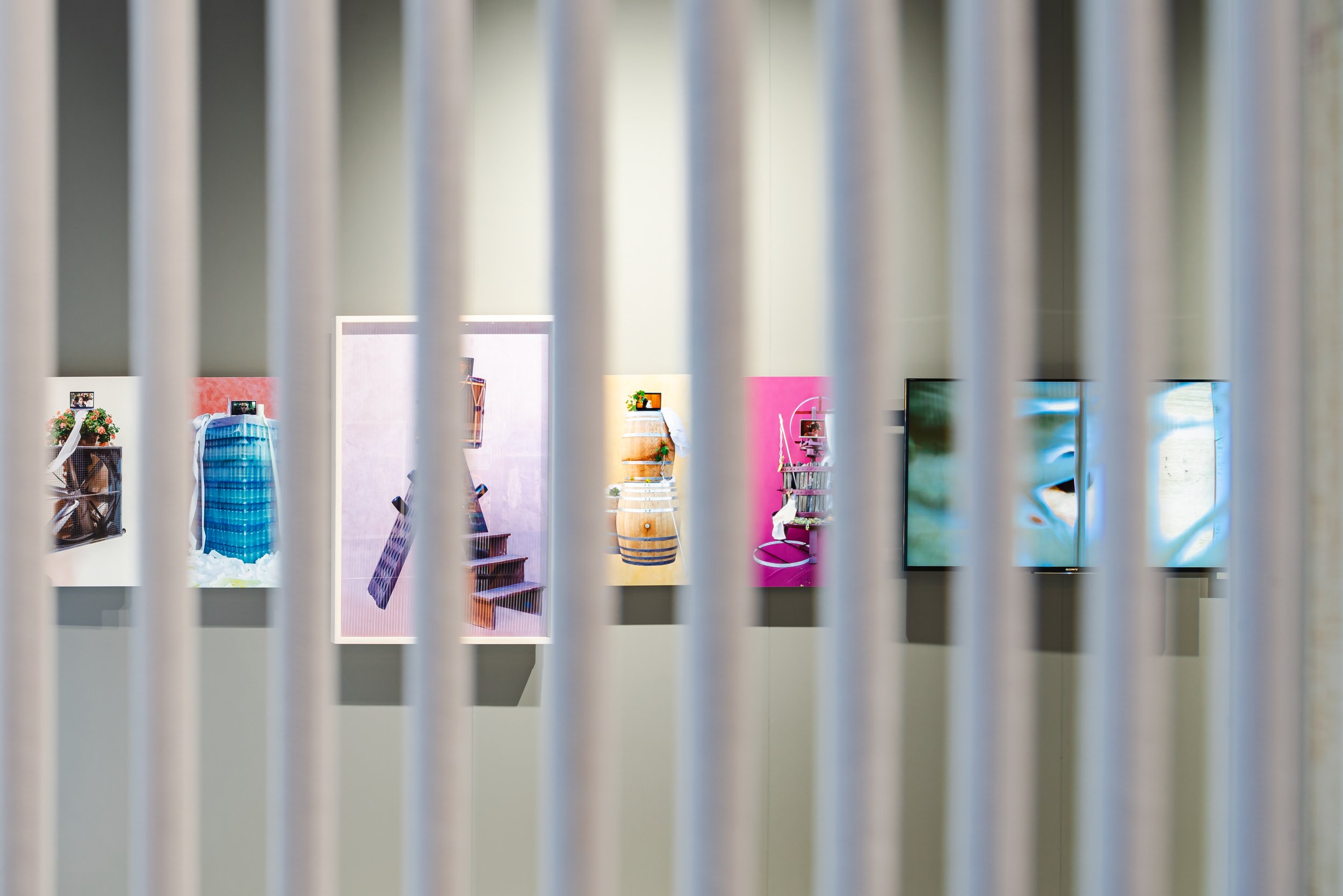 Zenato Academy_ ©Andrea Ceriani