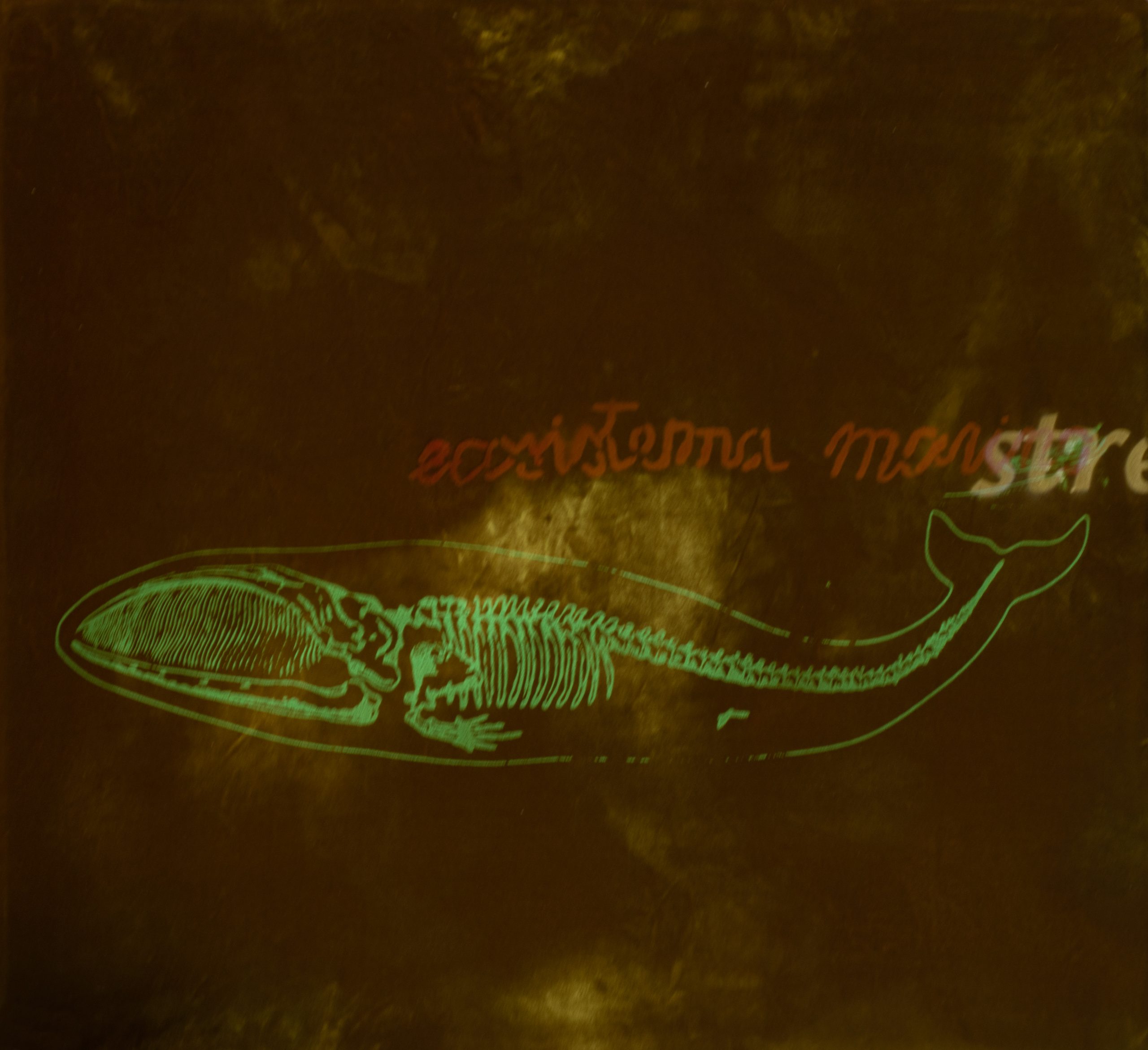 ecosistema_marino_54x59cm_mista_su_velluto_2021