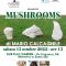 mushrooms locandina