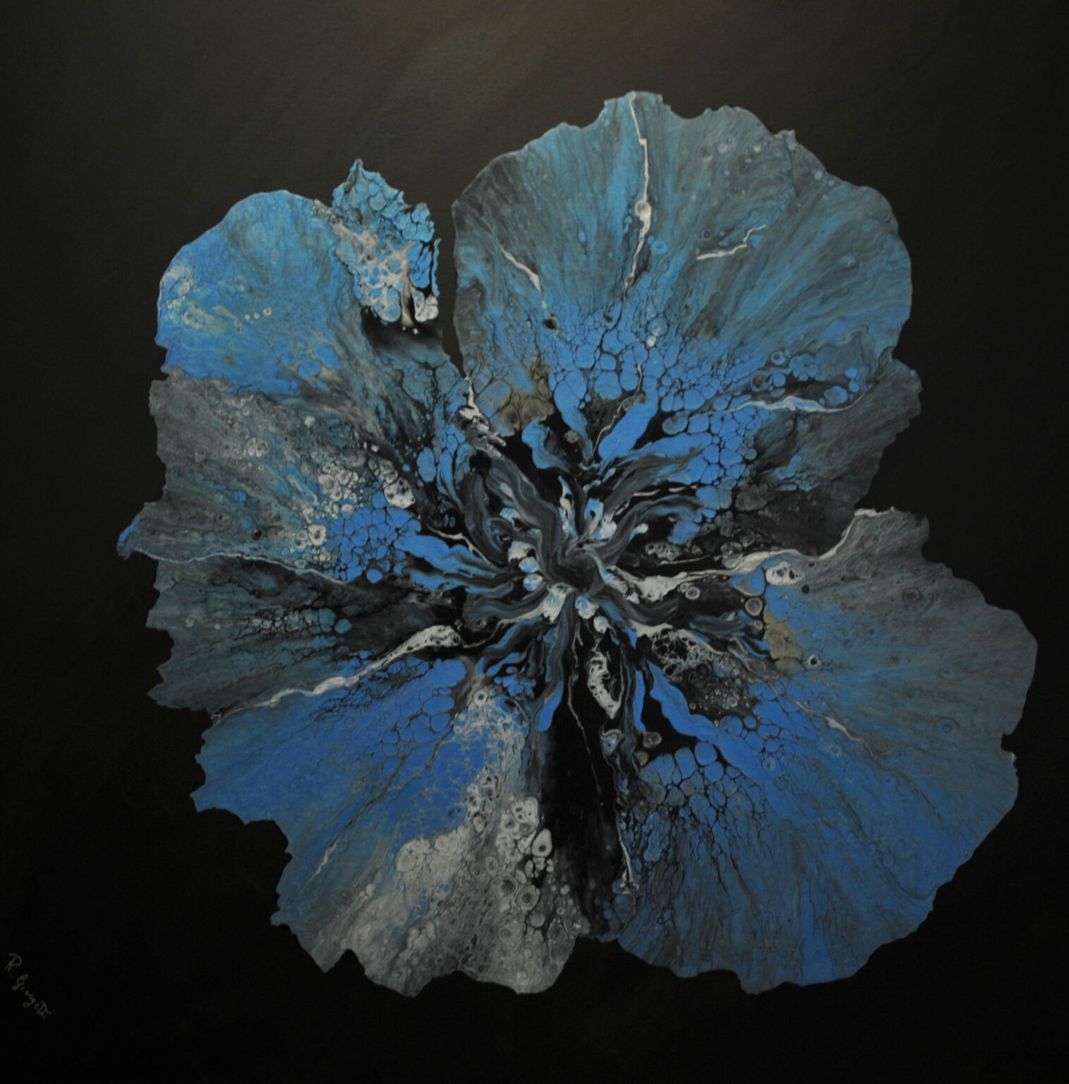 papavero-blu-collezione-black-1515x1536