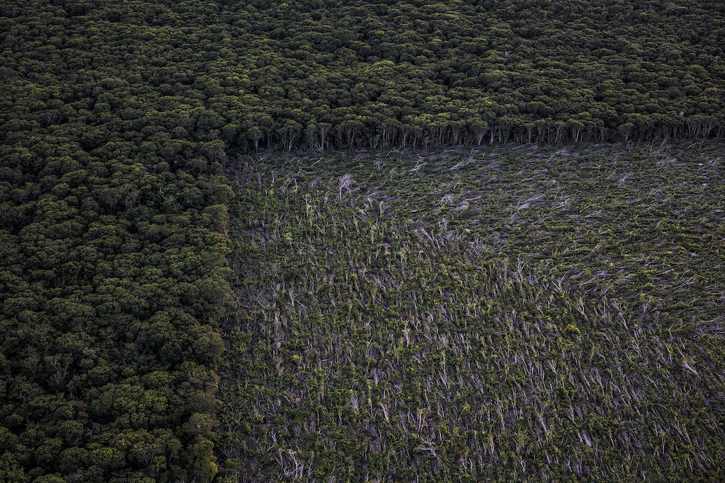 ph_Nadia Cohen_8994_181107_11694 low