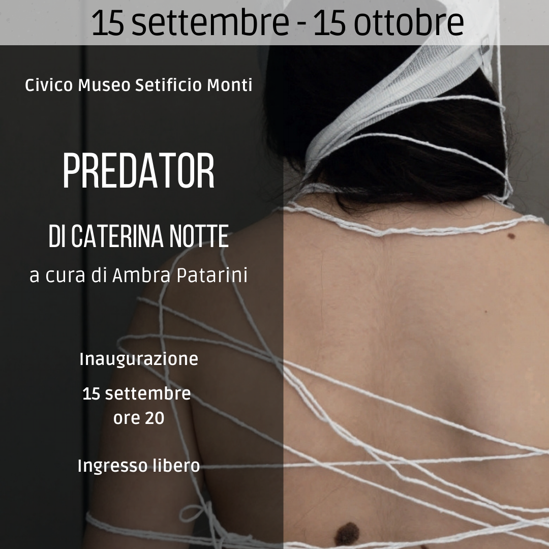 predator di caterina notte