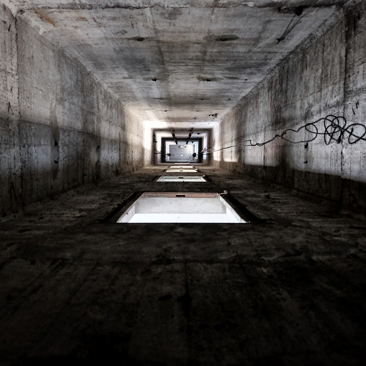 ©nicola_paccagnella_umane_tracce_2018_1